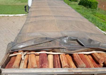 PRF apreende carga de madeira sem licença em Bataguassu