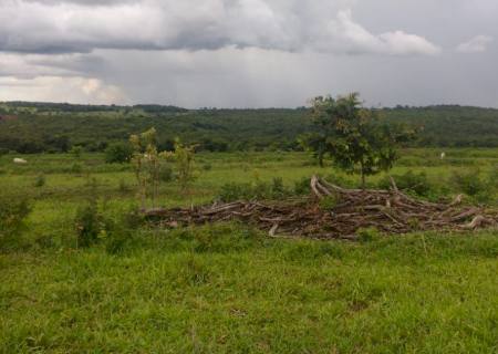 Imagem de satélite denuncia desmatamento ilegal em Camapuã