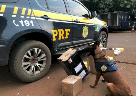 PRF e Correios realizam operação conjunta para interceptar encomendas com drogas em Campo Grande