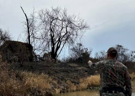 Empresário que causou incêndio no Pantanal é identificado e multado em R$ 9 milhões