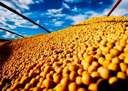 Estudo da Embrapa indica que produção de grãos no Cerrado sofrerá impactos com mudanças climáticas