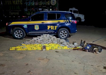 Cães da PRF encontram 124 kg de cocaína em pneus estepes  de caminhão