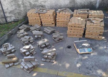 No Rio, polícia apreende 800 kg de maconha