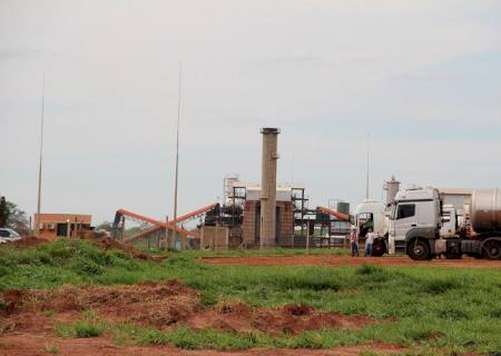 Empresa de Anaurilândia oferece mais de 140 vagas de emprego