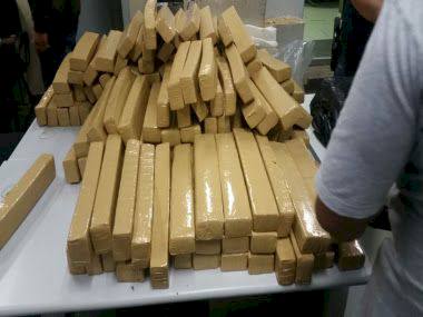 Deic apreende 1.473 tijolos de maconha e prende quatro homens