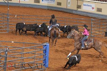 Nova Andradina sedia 2ª Prova de Ranch Sorting