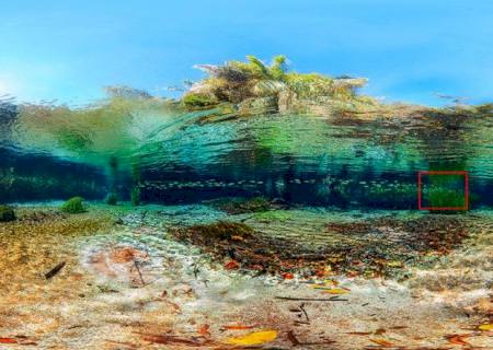 Foto panorâmica de rio de MS entra para Guinness como maior sob água