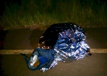 Trabalhador morre ao colidir moto em vaca em Angélica