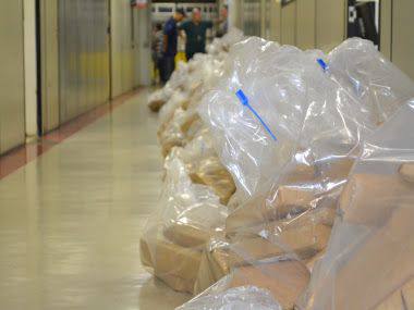 Denarc prende 8 e apreende 3,6 ton de maconha