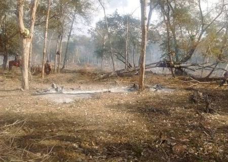 PMA autua assentado por realizar incêndio