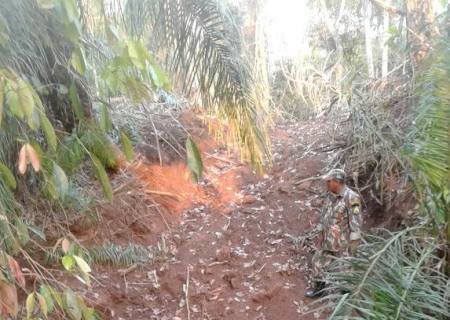 PMA autua proprietário rural por construir estrada degradando matas ciliares de córrego