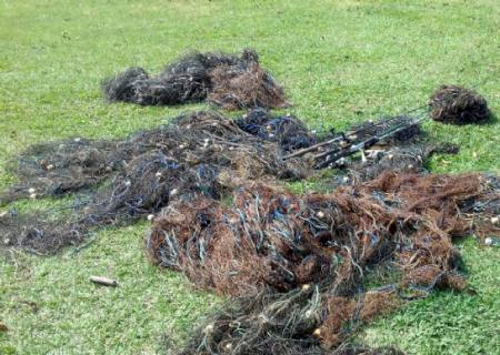 PMA apreende 30 redes de pesca escondidas em mata do Parque das Várzeas do Ivinhema