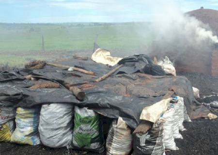 Vice-prefeito de Anaurilândia é denunciado por crime ambiental