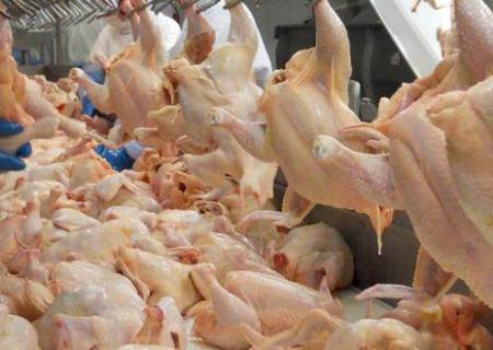 Anvisa proíbe venda de lotes de frango produzidos em Dourados