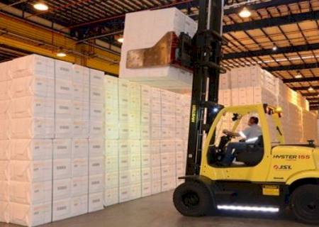 Celulose, soja e carne bovina puxam exportações de MS, com o acumulado chegando a US$ 4,8 milhões em 2019