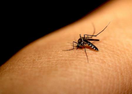 Mulher morre com suspeita de dengue hemorrágica em Dourados