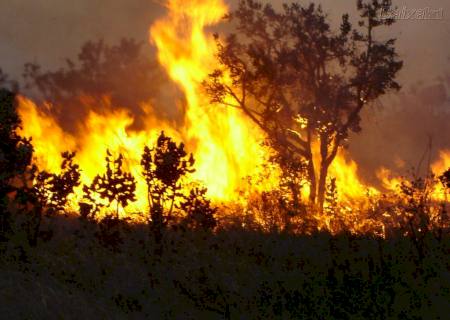 Clima: 11 mil cientistas alertam para ''sofrimento incalculável''