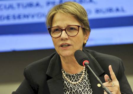 Macron atinge imagem do Brasil ao falar sobre Amazônia, diz ministra