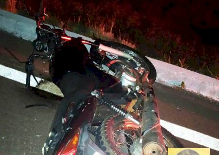 Motociclista morre após colisão com tamanduá na MS-338, região de Bataguassu