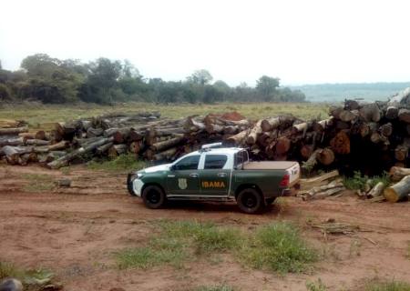 MPE, PMA, Ibama e Imasul apresentam balanço da 3ª edição da ''Operação Mata Atlântica em Pé''