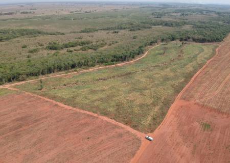 PMA de Batayporã autua infrator por desmatamento ilegal em área protegida de Mata Atlântica