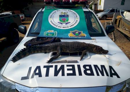 Polícia Ambiental conduz adolescente por caça de jacaré em lagoa de Parque Ecológico