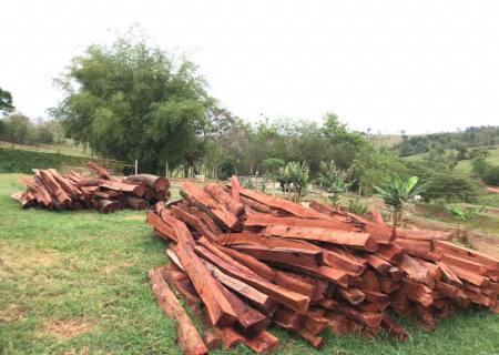 Polícia Ambiental autua dono de chácara por armazenar madeira ilegalmente