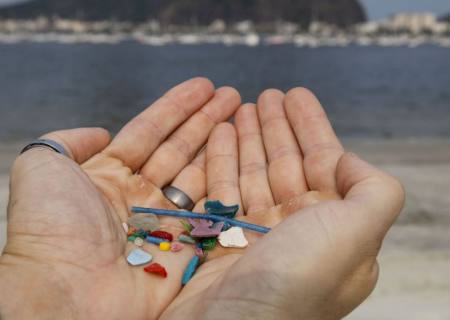 Pesquisas indicam ingestão de microplásticos por humanos