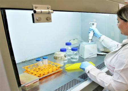 Mato Grosso do Sul é referência mundial em biotecnologia agropecuária