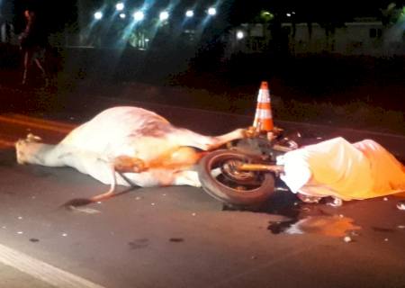 Mecânico industrial morre ao bater moto em vaca em rodovia