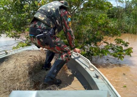Polícia Ambiental deflagra ''Operação Padroeira do Brasil'' durante o feriado prolongado
