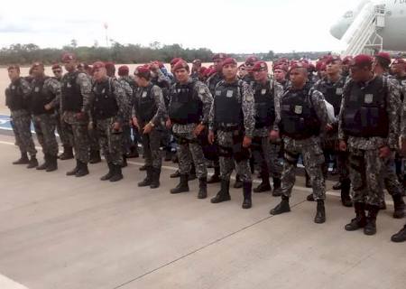Força Nacional atuará por mais 180 dias no combate ao desmatamento