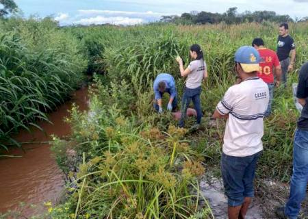 Corpo de indígena é encontrado em córrego de aldeia em Dourados