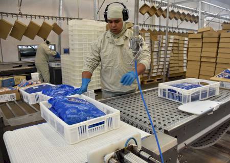Índice Geral de Desempenho Industrial de MS completa 17 meses acima dos 50 pontos