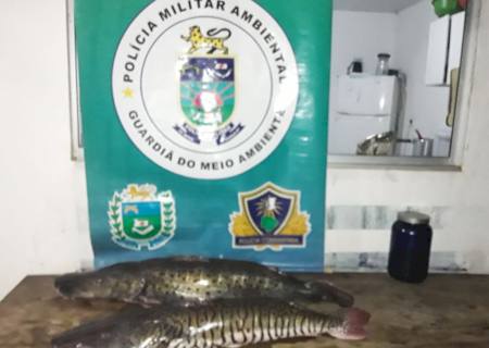 Polícia Ambiental prende e autua funileiro com pescado capturado com rede