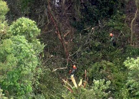 Avião de pequeno porte cai na Serra da Cantareira em SP
