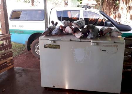 PMA prende e autua administrador de fazenda por pesca durante a Piracema