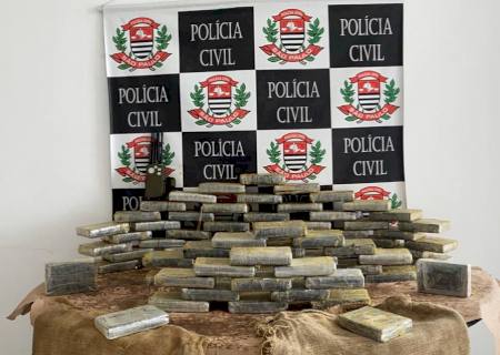 Dise de Santos apreende 75 tabletes de cocaína escondidos em carga de café