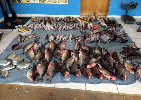Polícia Ambiental e Imasul autuam comerciante por venda de peixe capturado durante a Piracema
