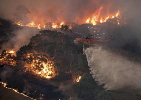 Fogo na Austrália é ''catástrofe ecológica'', diz cientista