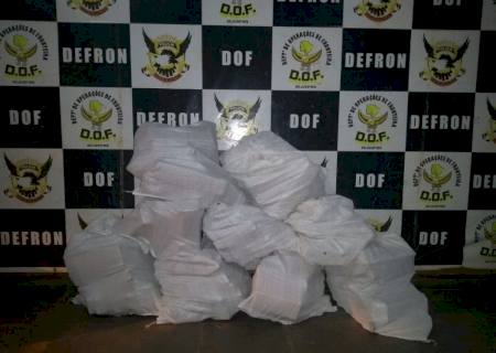 DOF apreende 214 kg de maconha em assentamento de Ivinhema