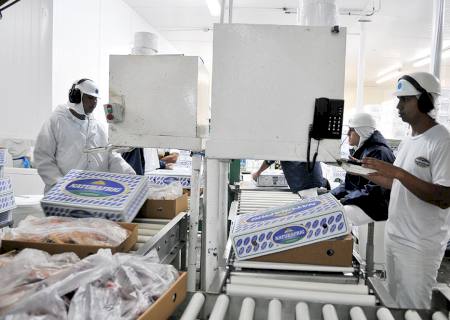 Exportações de industrializados de MS têm melhor janeiro desde 2008