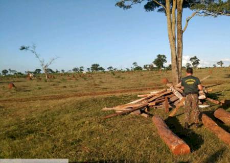 Polícia Ambiental autua infrator por armazenamento de madeira ilegal