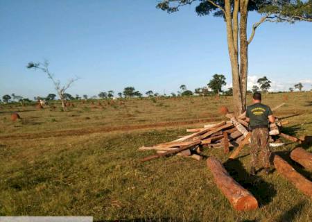 Polícia Ambiental autua infrator por armazenamento de madeira ilegal