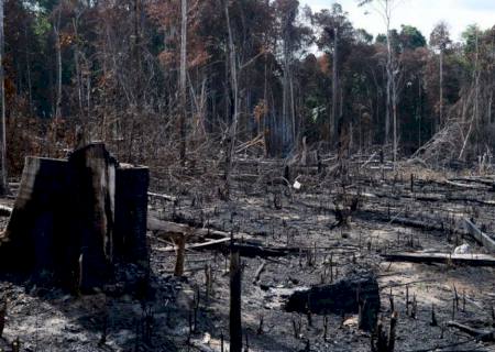AGU cobra R$ 1,3 bilhão por desmatamento na Amazônia Legal