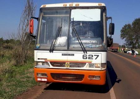 Agepan intensifica fiscalização no transporte e faz 28 autuações em agosto
