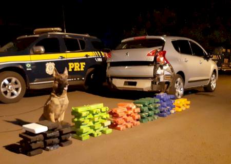 Cães da PRF farejam drogas em veículo abordado em Campo Grande