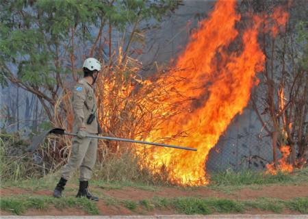 Com tempo seco focos de incêndio aumentam 133% e Corpo de Bombeiros Militar faz alerta