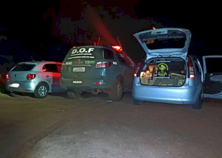 DOF prende ''batedor'' e casal de traficantes com carga de maconha