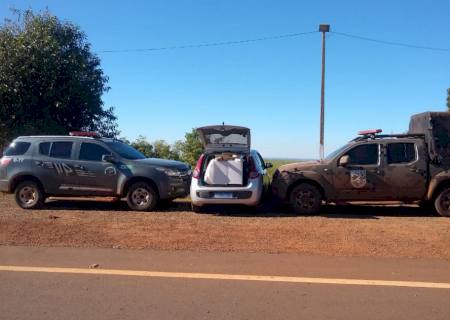 Ação conjunta do DOF e BOPE apreende 53 kg de maconha